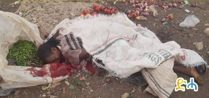 emnet_negash's tweet photo. A woman among the victims of #Togoga marketplace airstrike. That is how human and animals blood and body parts were mixed with vegetables too. This is what #Ethiopian war commanders are calling an "on target attack". Yes, because their target is #TigrayGenocide 😢 https://t.co/1lYToLspST