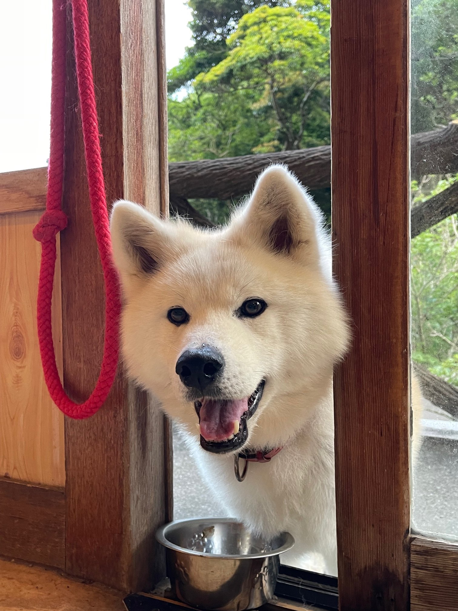 南阿波サンラインモビレージ 39kenken Twitter