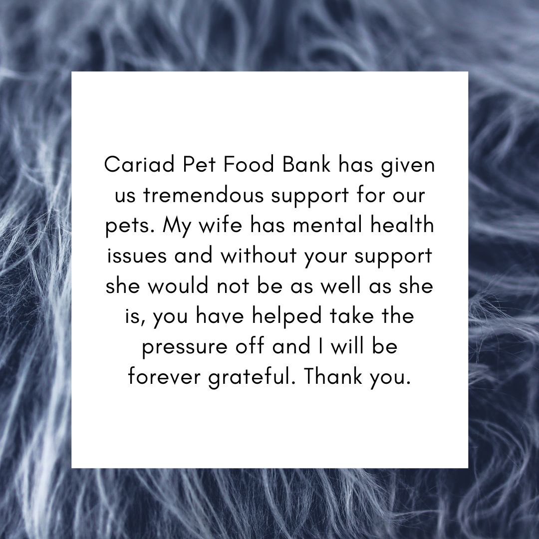 CariadPetFB's tweet image. @HarringtonsPets @lilyskitchen @WCVACymru #support @CariadPet #kindness #donationshelp #wales @PembsHerald @WTelegraph @LlanelliStand @WalesOnline #volunteers @ITVWales