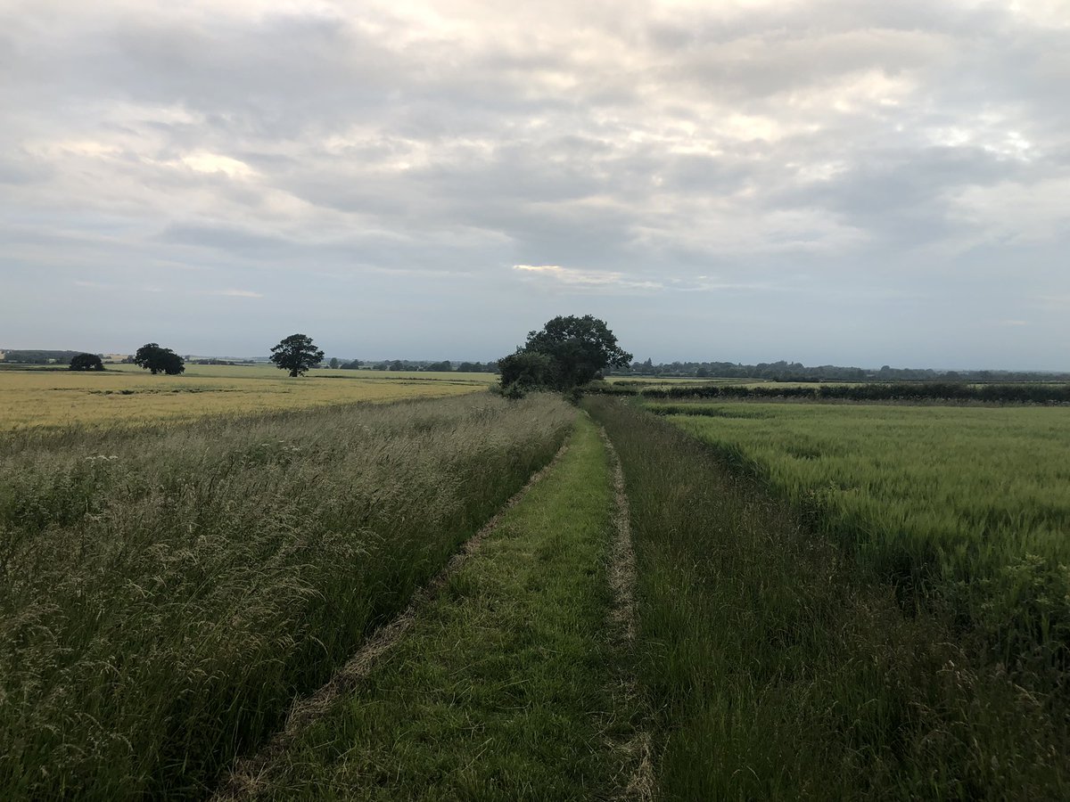 Thank you to all the farmers out there who show consideration for walkers using the footpath all over the UK by cutting the grass and nettles down. It really is appreciated!!! #walking #farming #footpaths