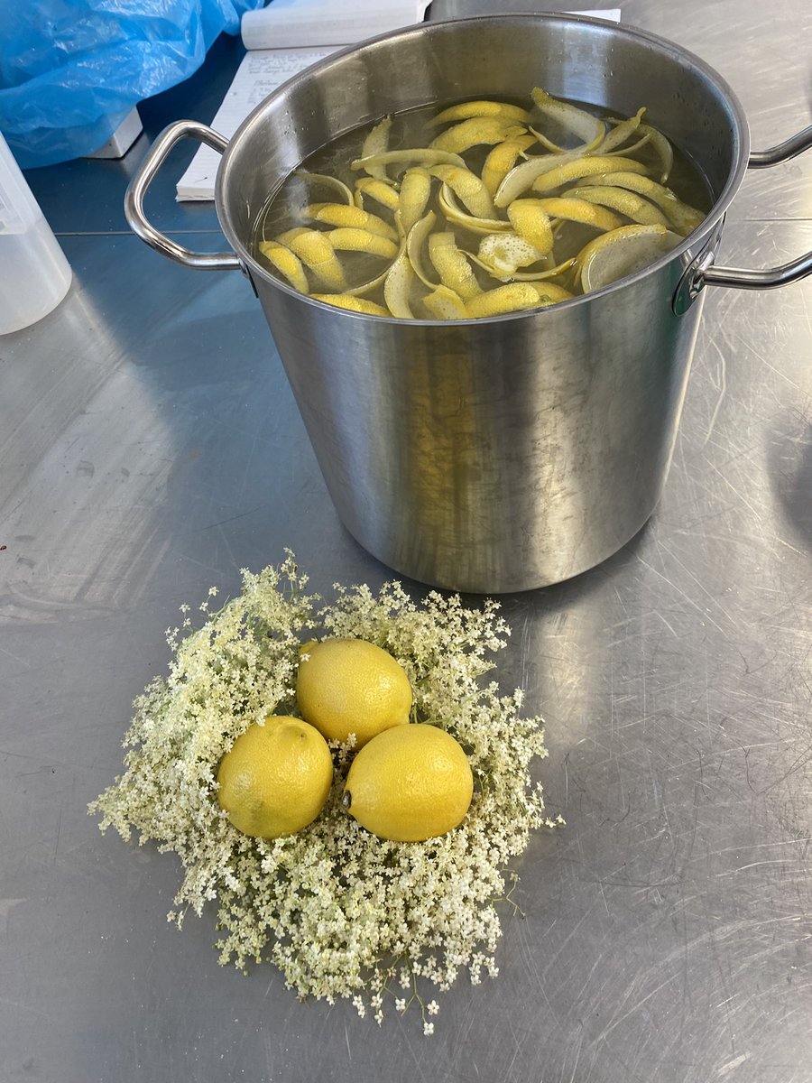 LewisSpareychef's tweet photo. Elderflower cordial making @WildFlourBath this week for our elderflower and gooseberry cheesecake 👨🏻‍🍳 https://t.co/jQpK8AWHnm