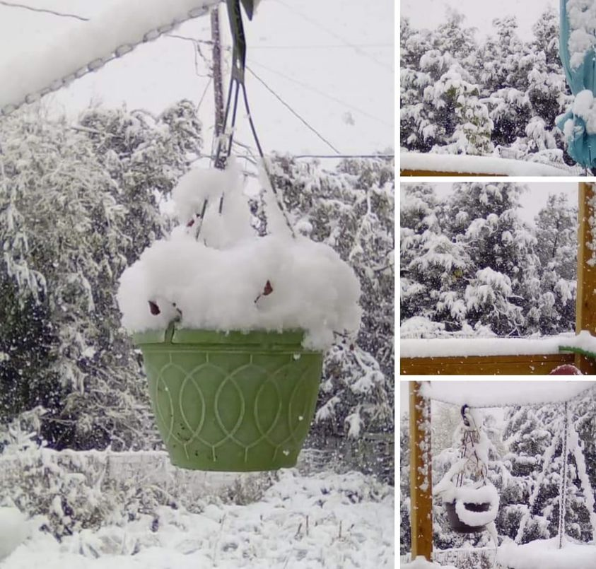 grild_cheez's tweet photo. @lmauricecpr The view from my window during any snowstorm in the Black Hills. #WinterSpringSummerFall
I have seen snow on Memorial Day weekend and Labor Day weekend. Still waiting for the 4th of July snow. LOL https://t.co/YZAe7hovMM