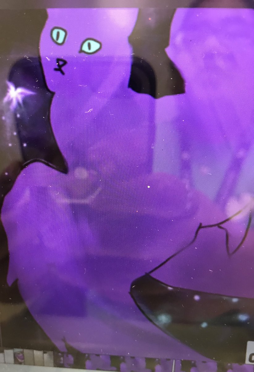 Emely Sosa tweet media