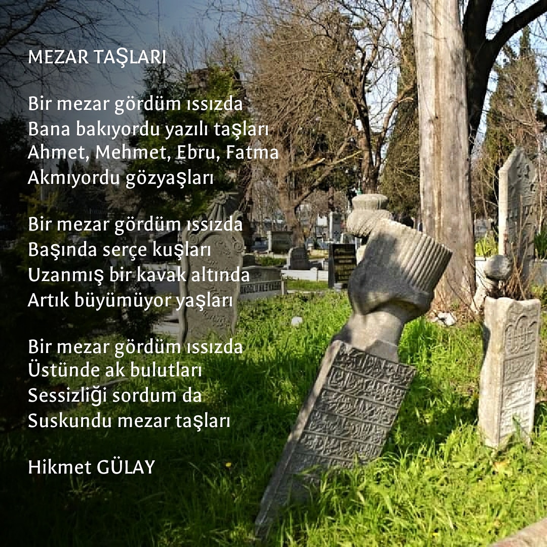 gulayhikmet's tweet photo. #hikmetgülay #yazar #şair #siirsokakta #kitap #kitaplar #kadın #deniz #özlem #şiir #aşk #sevgi #you #yürek #kalp #gözler #poetry #poem #prose #poems #writer #love #quotes #sea #eyes #@thewriterswarmth #poetrycommunity #poetsociety #poemsofinstagram #poetryinmotion #typwriter https://t.co/W6simMcYmj