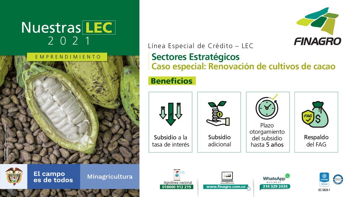 Finagro's tweet photo. 🍫Con la LEC Sectores Estratégicos – “Renovación de cultivos de cacao”, buscamos promover la renovación del cultivo en varios departamentos del país.
#CréditosParaElCampo

Consulte los departamentos en esta LEC: https://t.co/EAIzAH2VFS https://t.co/y49hii5Hfb