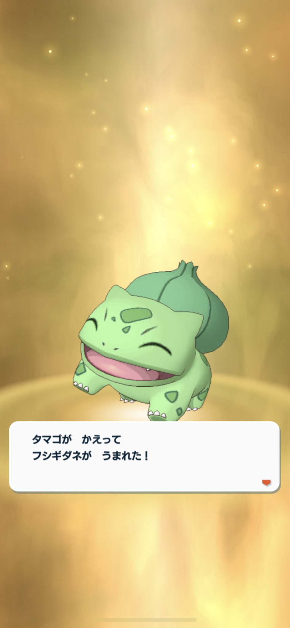 تويتر シア على تويتر 持ってなかった色フシギダネきたああああああ ପ W ଓ T Co Hzdhgpirws