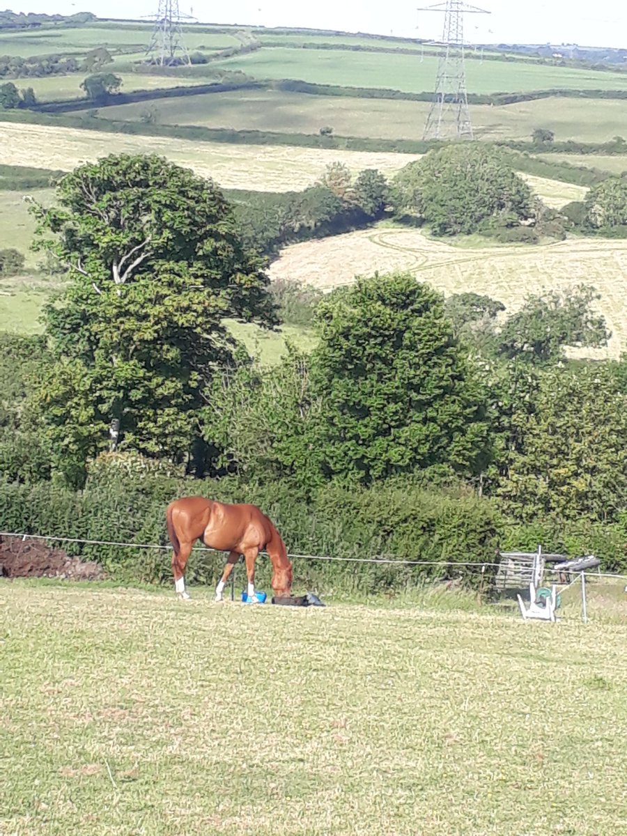 Racer To Eventer tweet media