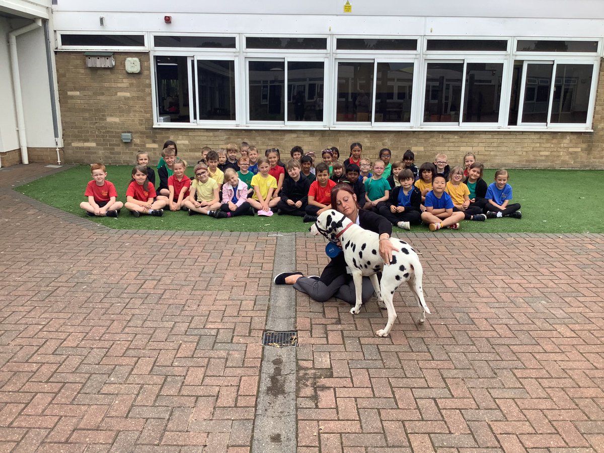 RavensthorpeP's tweet image. Year 2 had a special visitor at school today, Jasper the Dalmatian! The children asked lots of questions and found out information about food, shelter and exercise @HPLedu #enquiringminds #reallifeexperience @PrimaryMatters1