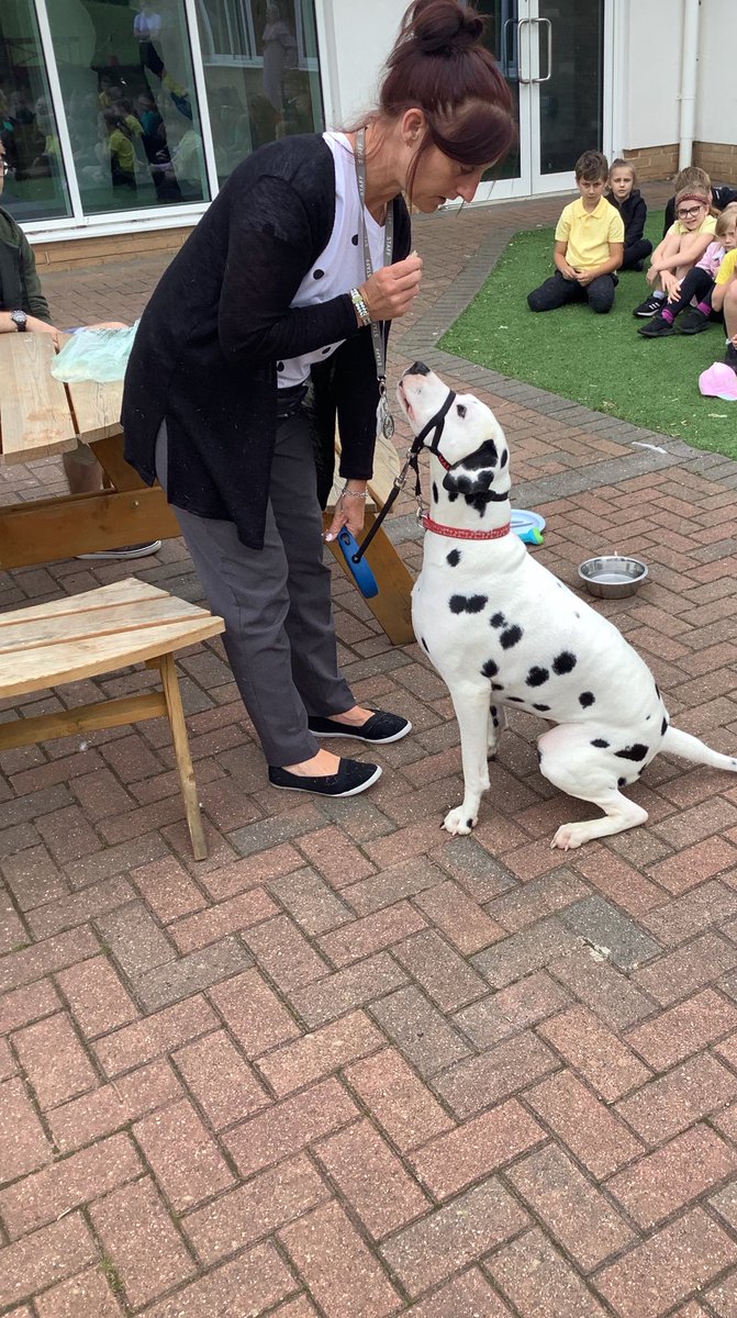 RavensthorpeP's tweet image. Year 2 had a special visitor at school today, Jasper the Dalmatian! The children asked lots of questions and found out information about food, shelter and exercise @HPLedu #enquiringminds #reallifeexperience @PrimaryMatters1