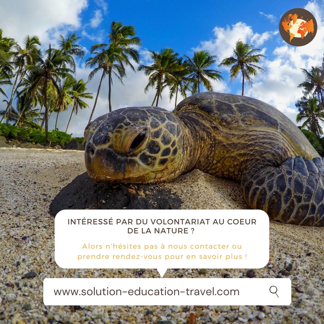 solution_SET_fr's tweet photo. NEW PROGRAM !

👉Le #volontariat ça te tente? 
🇹🇿 Alors découvre notre nouvelle solution en Tanzanie
ℹ️Toutes les infos sur ce lien : https://t.co/NSQoLNXJAM

#solution #education #Travel https://t.co/c1CQgLOUOC