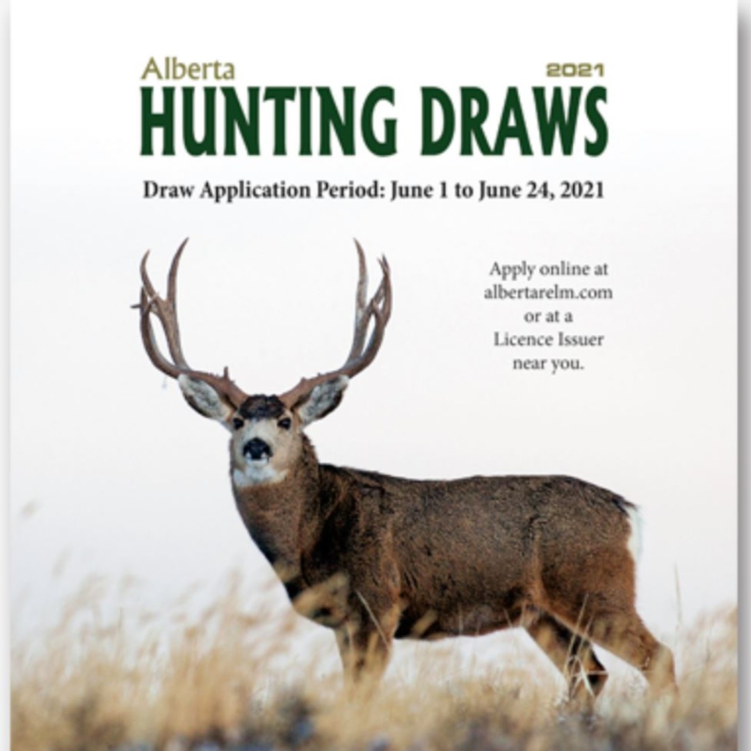alberta_bha's tweet photo. Today is the last day to get your draws in! Link in profile. #albertabha #adventuring #hunting #alberta #bhaalberta #keepitpublic #albertahunting #publiclandowner #explorealberta #bhacanada #huntalberta https://t.co/5fof9eVYov