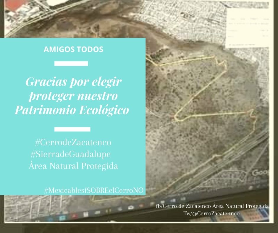 CerroZacatennco's tweet photo. ⛰ | Amigos #cerreros ustedes son sus voces 🐛🌵🌳🦎🐸🐍🐦⛰.
.
.
.
.
#MexicablesíSOBREelCerroNO  #RutaAlternaYA @SEDEMA_CDMX @CONANP_mx @mroblesg @Mexicablemx recuerden que TENGO #ProgramadeManejo por encima de su intento de imposición que disfrazan de legalidad institucional. https://t.co/Edr9dzHfYR