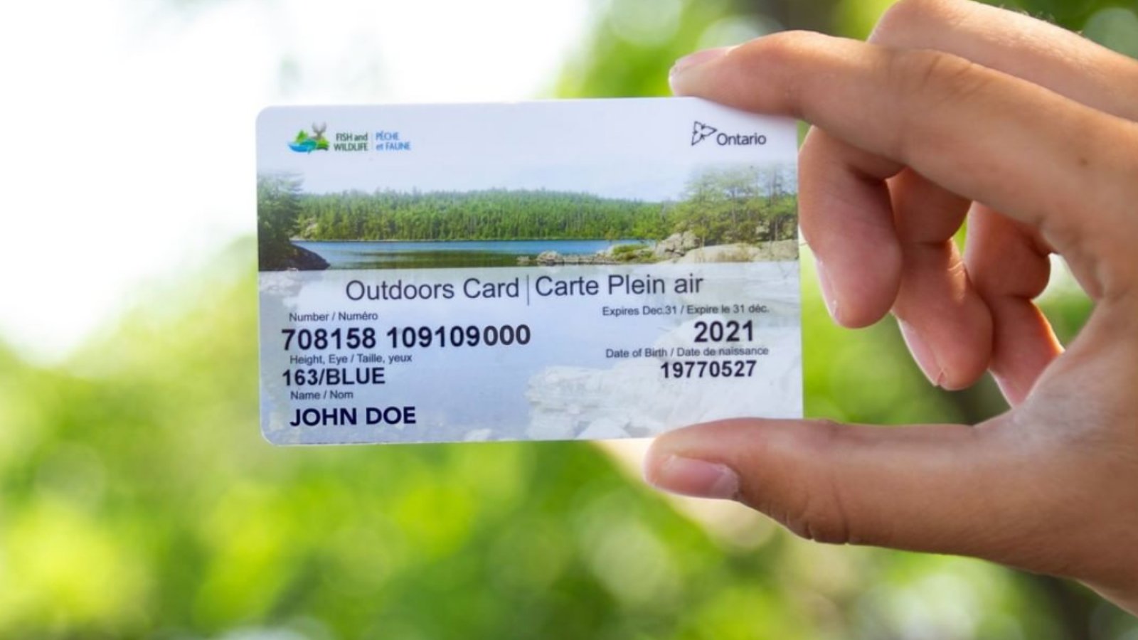Fish online ontario deals