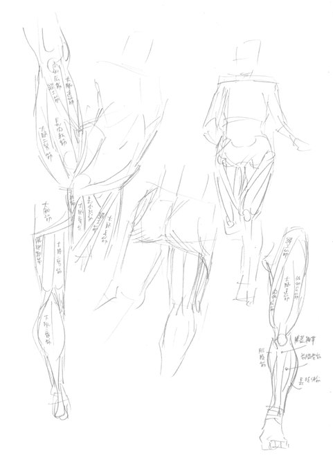 今日のホリエ

頭痛い。低気圧か何かかもしれない
満月が綺麗だった。
今日もネームは出来なかった…

太ももの大まかな筋肉の配置は理解できた。
これで、人体デッサンの時に「なんだこの陰影は」っていちいち悩まなくて済むのだ。
「お前の名前は長内転筋!」って勝ち誇れる。
おやすみなさい 