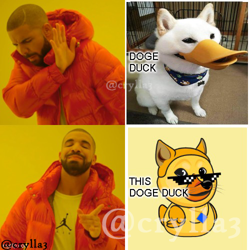 REAL DUCK $DOGE <a href="/wavesducks/">Arkimals</a> 

#WavesDucks #NFT $WAVES #DeFi
