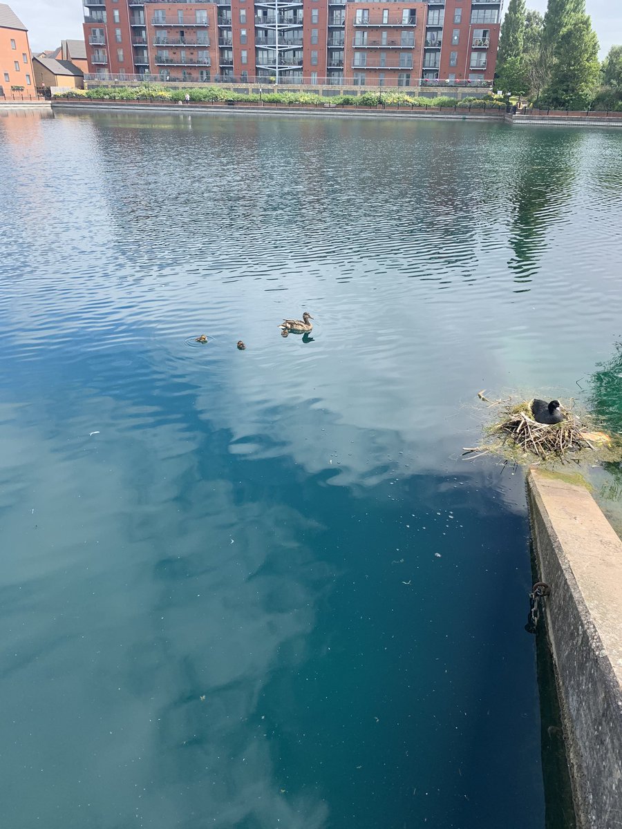 It truly is ‘el futuro!’ Great to be out and about ‘net walking’ once again.. this time in ‘Sunny Donny’. Huge thanks <a href="/DNChamber/">Doncaster Chamber</a> .. it was great to explore Lakeside and of course #ElFuturo We will certainly be back! Thankyou all.