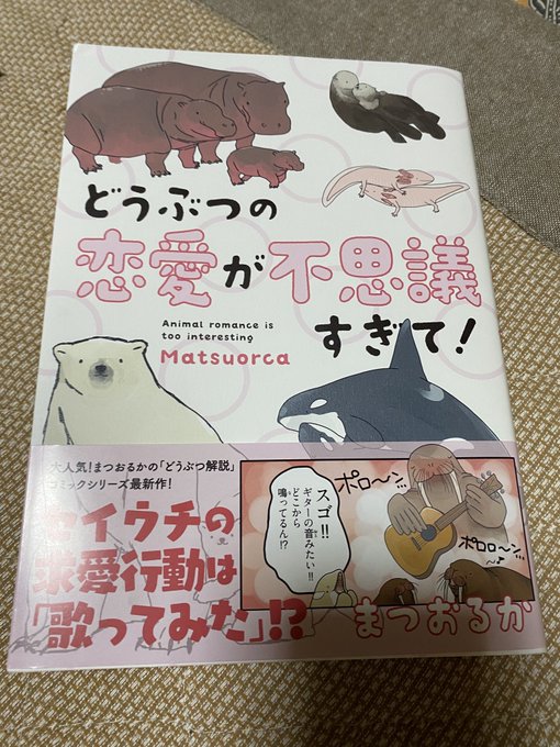 まつおるか 新刊発売中さん と Matsuorca524 のやりとり 1 Whotwi グラフィカルtwitter分析 まつおるか 新刊発売中さん と Matsuorca524 のやりとり 1 Whotwi グラフィカルtwitter分析