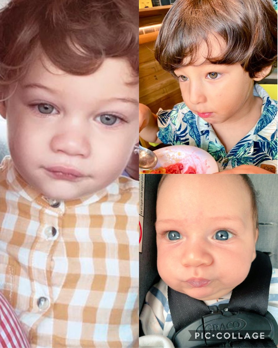 Edgard Percy tweet media