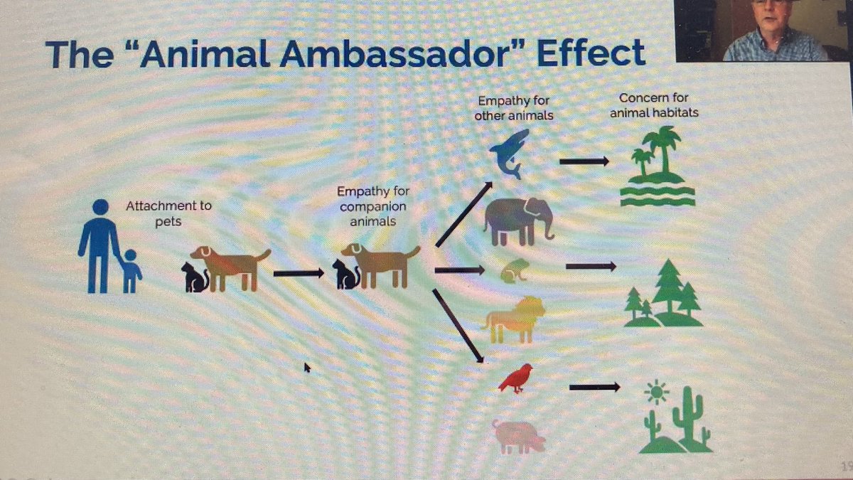 Jo Williams (@drjowilliams) on Twitter photo Excellent thought provoking #ISAZ21 presentation by <a href="/JamesASerpell/">James Serpell</a> discussing whether #pet keeping in #childhood can promote ecological concerns. We need more research on children and animals <a href="/ChildAnimals/">CAAR - Children, Adolescents & Animals Research</a> <a href="/EdinUniCADP/">Centre for Applied Developmental Psychology</a> Excellent thought provoking #ISAZ21 presentation by <a href="/JamesASerpell/">James Serpell</a> discussing whether #pet keeping in #childhood can promote ecological concerns. We need more research on children and animals <a href="/ChildAnimals/">CAAR - Children, Adolescents & Animals Research</a> <a href="/EdinUniCADP/">Centre for Applied Developmental Psychology</a>