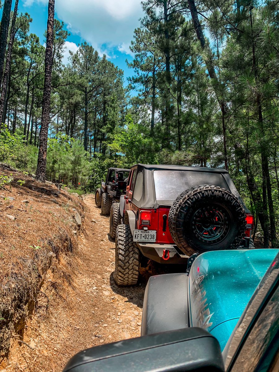 Always take the scenic route. 🌲🤍