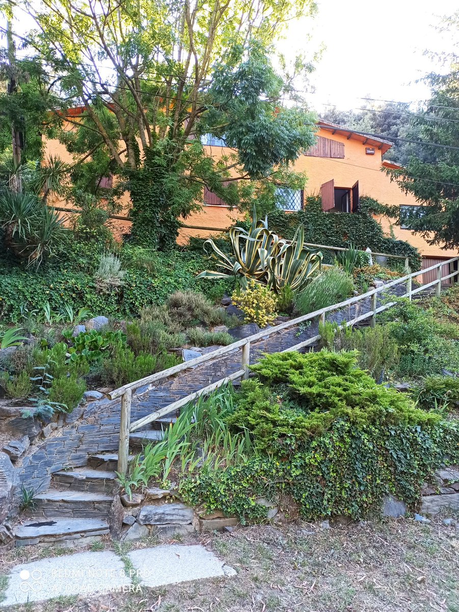 #LOuDeReig 
#Montseny