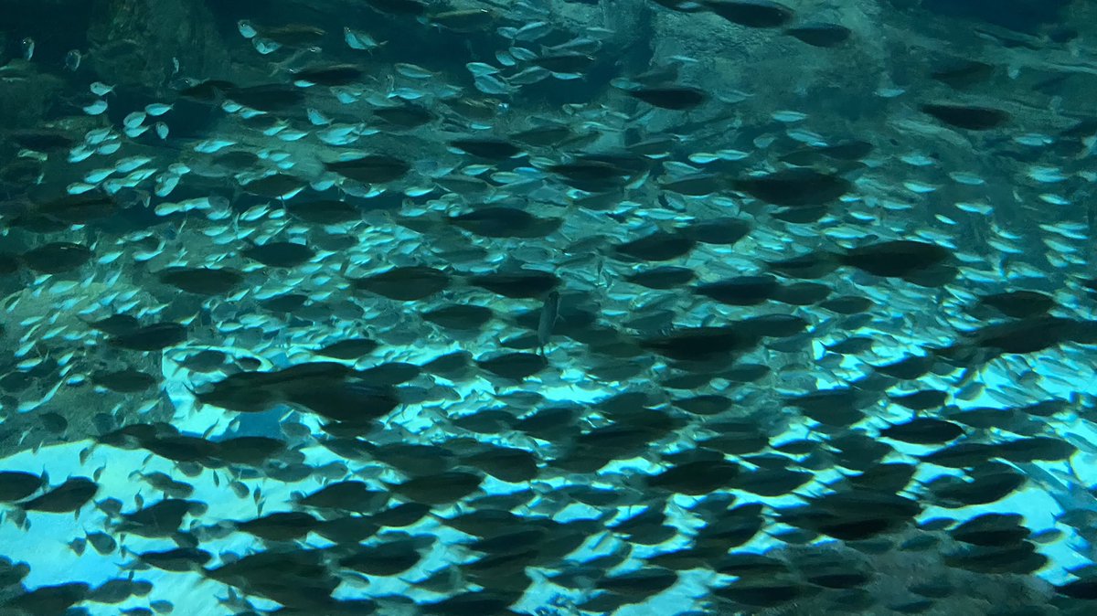 Nospoon, bien plus qu’une agence de communication. tweet media