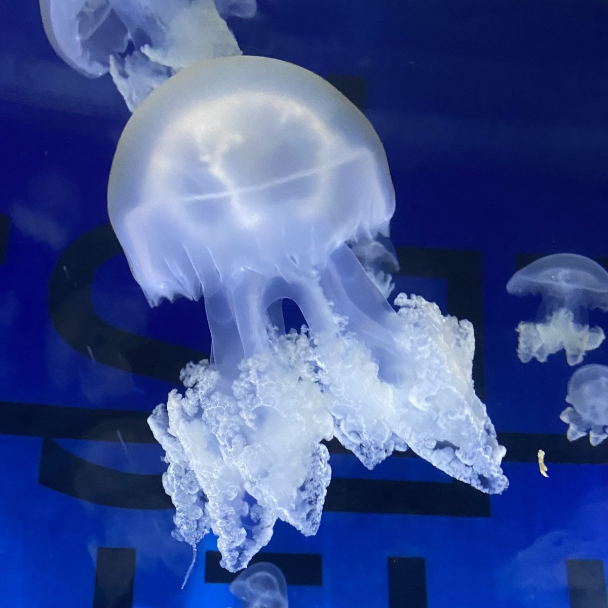 Nospoon, bien plus qu’une agence de communication. tweet media