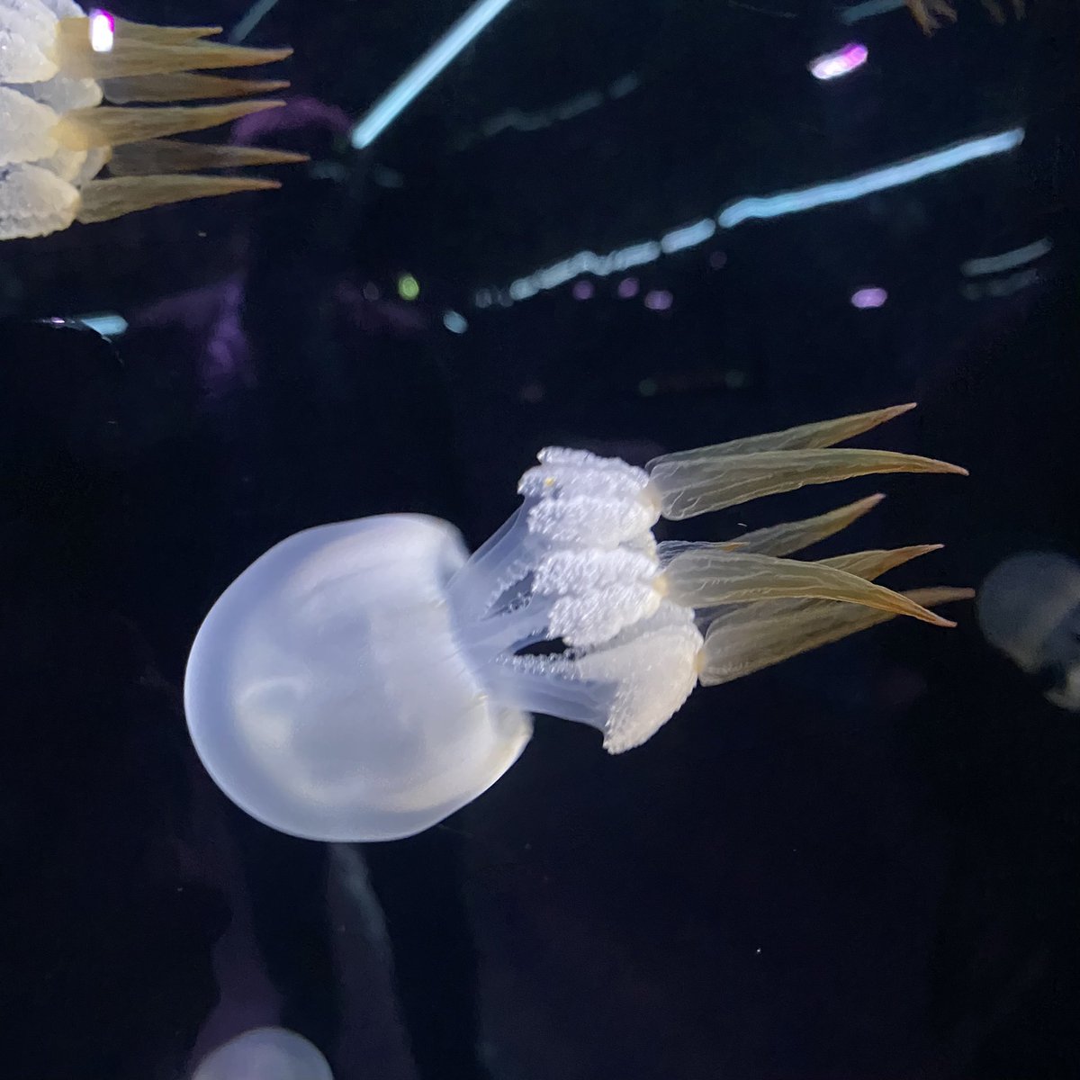 Nospoon, bien plus qu’une agence de communication. tweet media