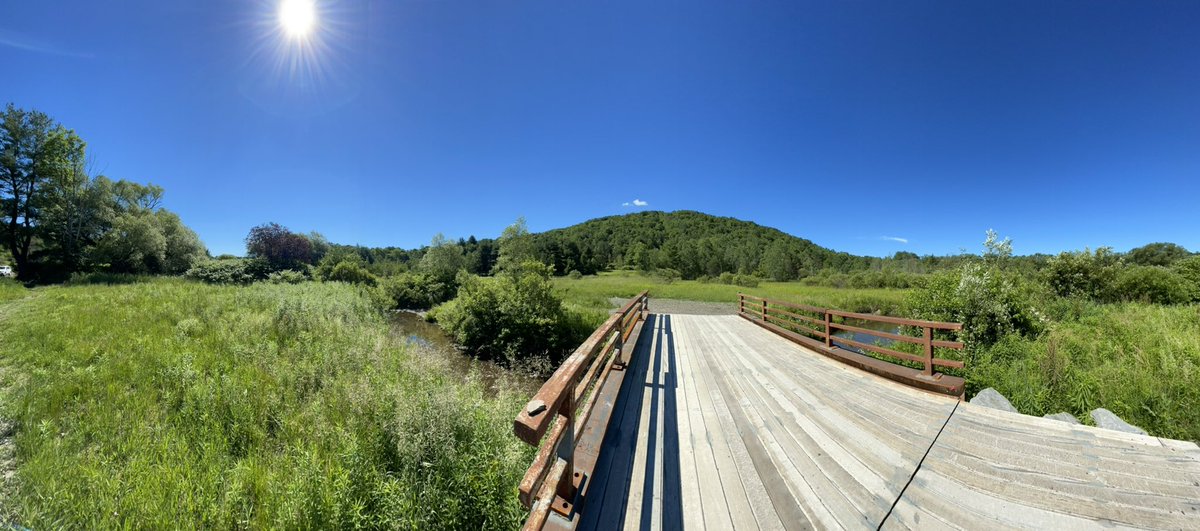 LizWoidt23's tweet photo. Aqua Terra Wilderness Area on this gorgeous Thursday in Broome County! Get out and explore our beautiful parks!π² βοΈ π₯Ύ @I_LOVE_NY @Broomeisgood @BroomeCoParks #AquaTerra https://t.co/FuYjve7oiJ