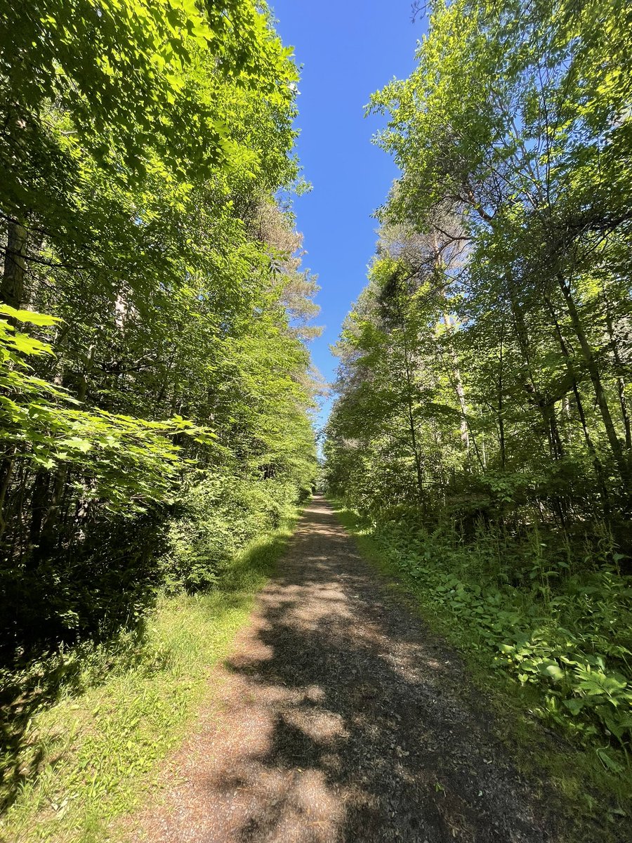LizWoidt23's tweet photo. Aqua Terra Wilderness Area on this gorgeous Thursday in Broome County! Get out and explore our beautiful parks!π² βοΈ π₯Ύ @I_LOVE_NY @Broomeisgood @BroomeCoParks #AquaTerra https://t.co/FuYjve7oiJ