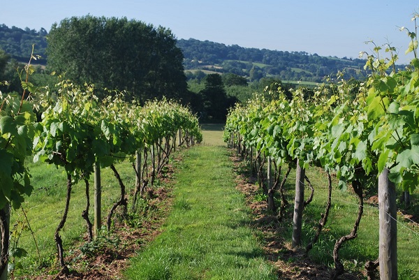 Eat Sleep Live Herefordshire tweet media