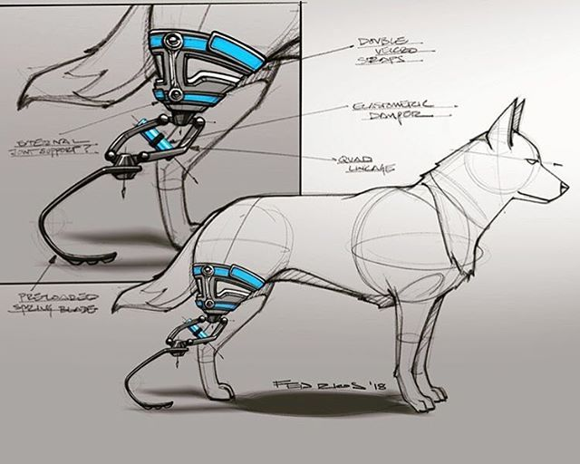 TailTech1's tweet photo. Project 3: We are currently developing a model based in this idea. It will introduce a better harness that the one in the picture, and the idea behind the joint structure is to allow the animal not only to walk, but also run and jump normally without issue. #TAILTECH #BNB https://t.co/uQgmJDXvAv
