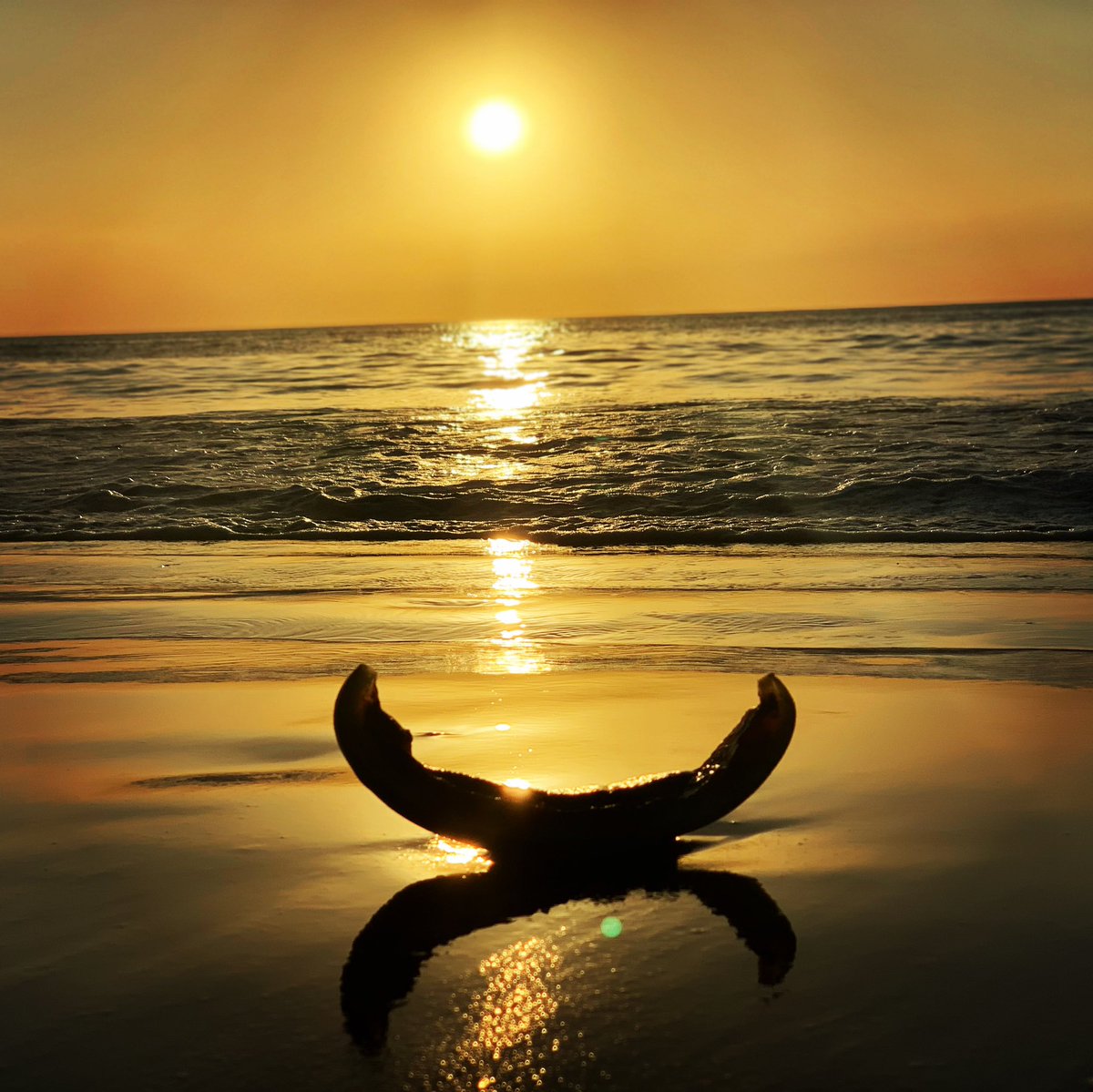 tank_stinson's tweet photo. Me posting one of my hobbies.
#photography #photooftheday #CostaRica #playadelcoco https://t.co/sMldCnRA2z