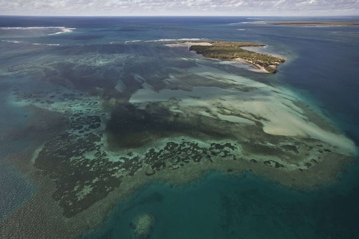 cgtnafrica's tweet photo. #ImageofAfrica
The #Quirimbas Islands lie in the Indian Ocean off N.E. #Mozambique. The archipelago consists of about 32 islands. The Quirimbas National Park, a protected area, includes the 11 most southerly islands, which are partly surrounded by mangroves.
Good night #Africa https://t.co/GlBX8jKYM6