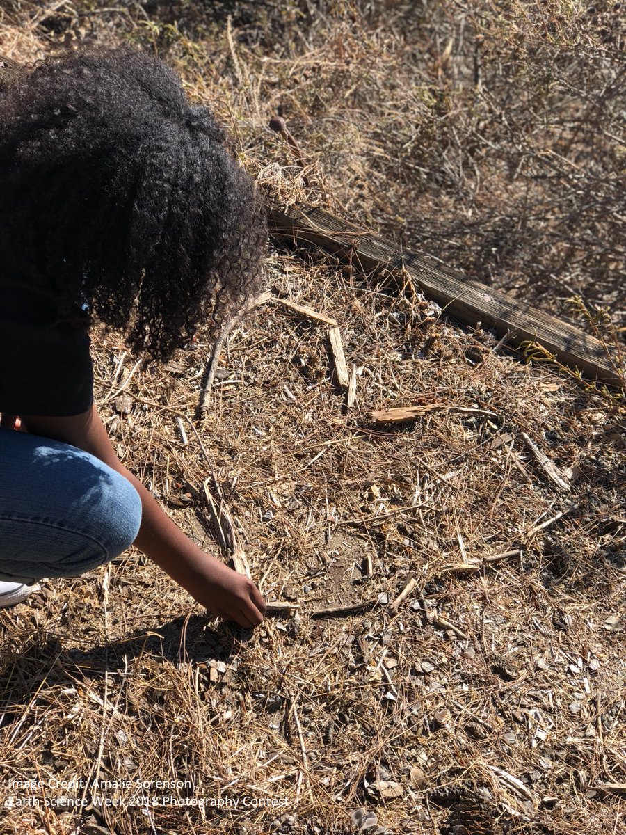 earthsciweek's tweet photo. Wouldn't it be great to dedicate a day to "No Child Left Inside," a time for #outdooractivities where young people experience the inspiration of Earth science firsthand? To help you do just that, the #NCLI Day Guide is available in PDF format online: https://t.co/32dzfe7sI1 https://t.co/B2CTK5aSyE