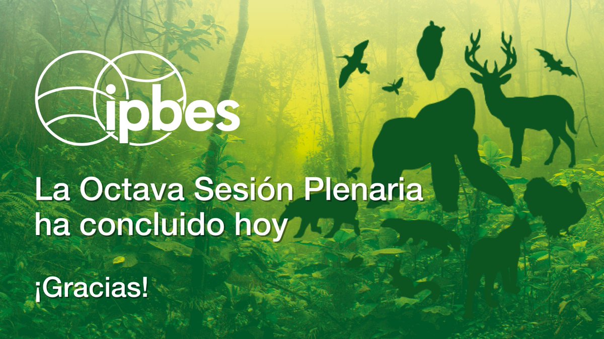 canal_ambiental's tweet photo. #RT @unep_espanol: RT @ipbeses: ⏰ #IPBES8 ha concluido hoy
La Plenaria ha acordado:
🔖Informes de alcance sobre el Cambio Transformador y la Evaluación del Nexo
📑 Presupuesto y planes de acción para los grupos de trabajo de la @IPBESes
Más informac… https://t.co/DsohVYQv5z