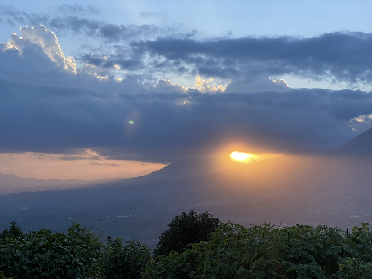 Samantha Diouf tweet media