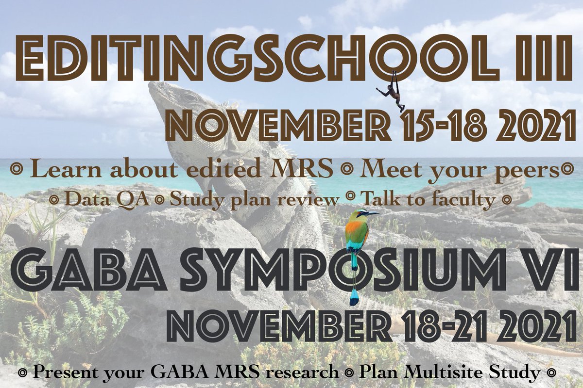 JOIN US IN MEXICO for the EDITINGSCHOOL and GABA MRS symposium (standard rate until July 1): tinyurl.com/k5fj7ja9