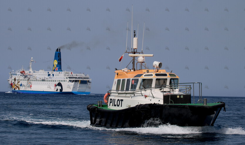 Shipguru's tweet image. #Safehavenbuilt #pilotboat #ECHO1 ready from #ropax #MOBY_CORSE off #grandharbourmalta - 19.06.2021 - maltashipphotos.com - NO PHOTOS can be used or manipulated without our permission @SafehavenMarine