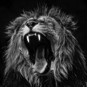 Charles de Boissezon tweet media