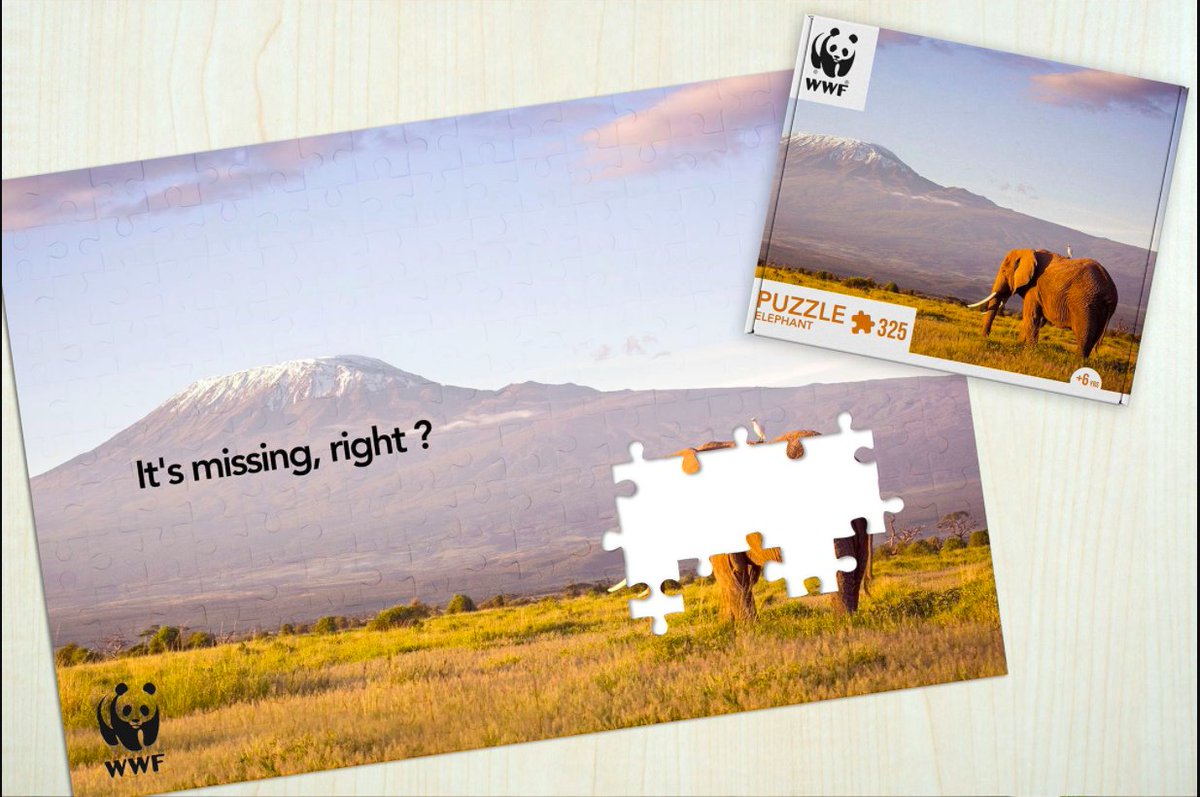 Bravo à Jouneyd Sidi-Yekhlef pour sa #victoire dans la #catégorie "Jeu &amp; Application" aux #chatonsdor 2021 avec son projet "It's missing right ?"