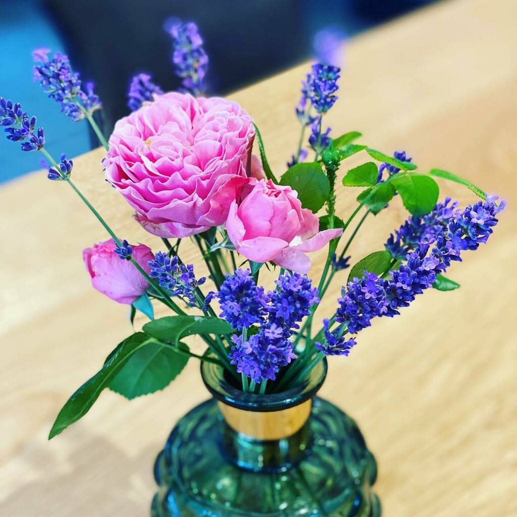 ZoePriceInt's tweet image. Nothing makes me happier than garden flowers 🌸 instagr.am/p/CQgpRq4h9dT/