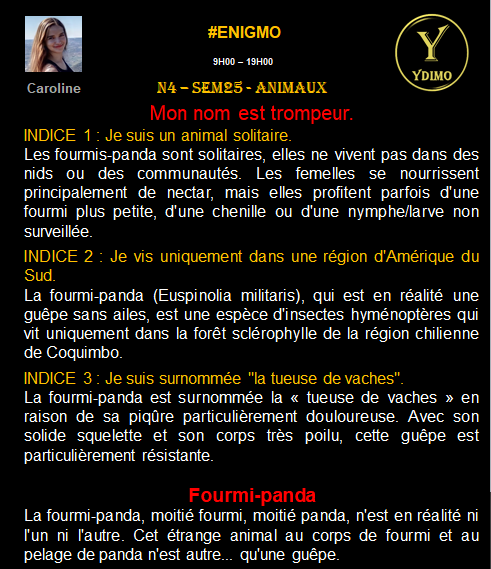 bossydimo's tweet image. #ENIGMO N4-SEM25-ANIMAUX