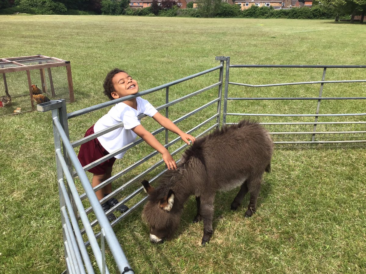 Reception @ South Camberley Primary tweet media