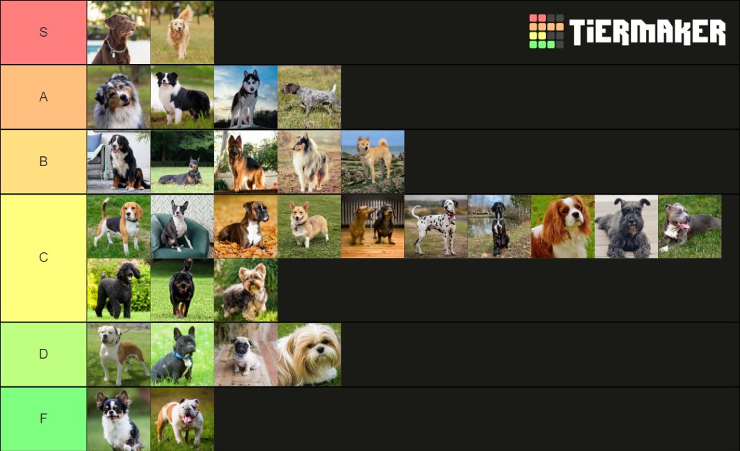 The Dog Tier List 