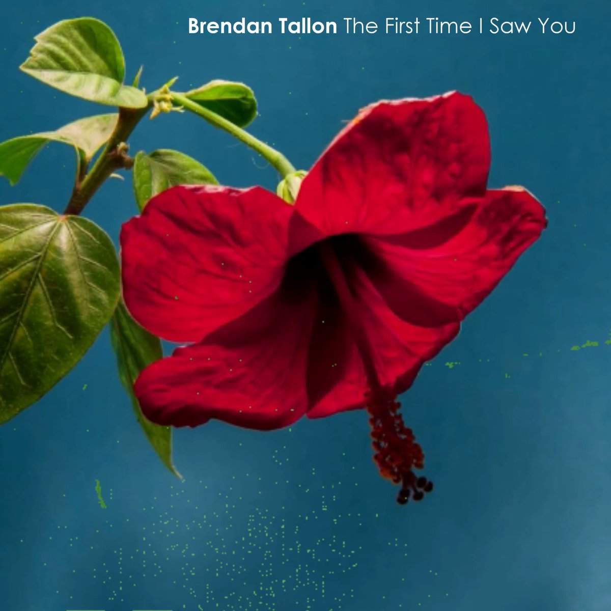 Tomorrow @BrendanTallon releases 3rd single & brilliant 'The First Time I Saw You' from his highly anticipated album 'Love In These Times'. Go buy the single tomorrow and preorder the the album now via bandcamp, you won't be disappointed.
 #buythemusic #supporttheartists