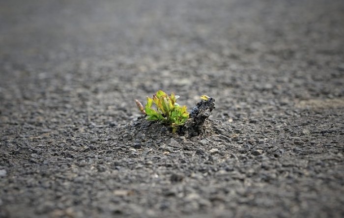 WHY is stigma attached to seeking or receiving mental health services? Unlike receiving treatment for breast cancer or heart disease or a myriad of other body illnesses, seeking or receiving mental health services is mostly perceived as a mark of disgrace.

#traumainformed