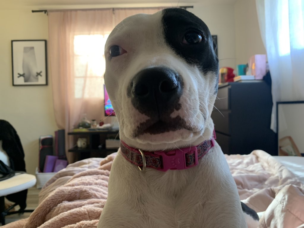 grayson (@graysonwilcox) on Twitter photo 