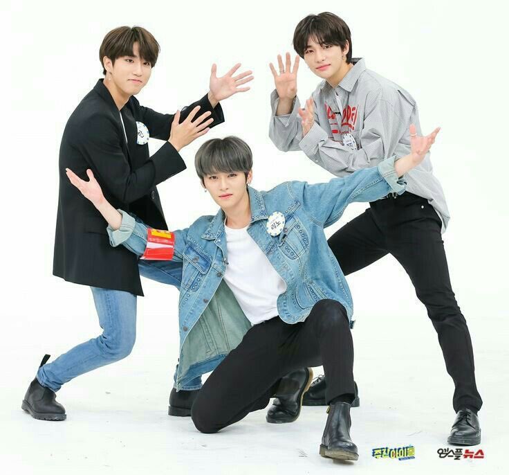 hmsthinker's tweet image. hi! this is a new thinker account for stray kids’ hyunjin, lee know, and han jisung! 

🌱 rt to spread