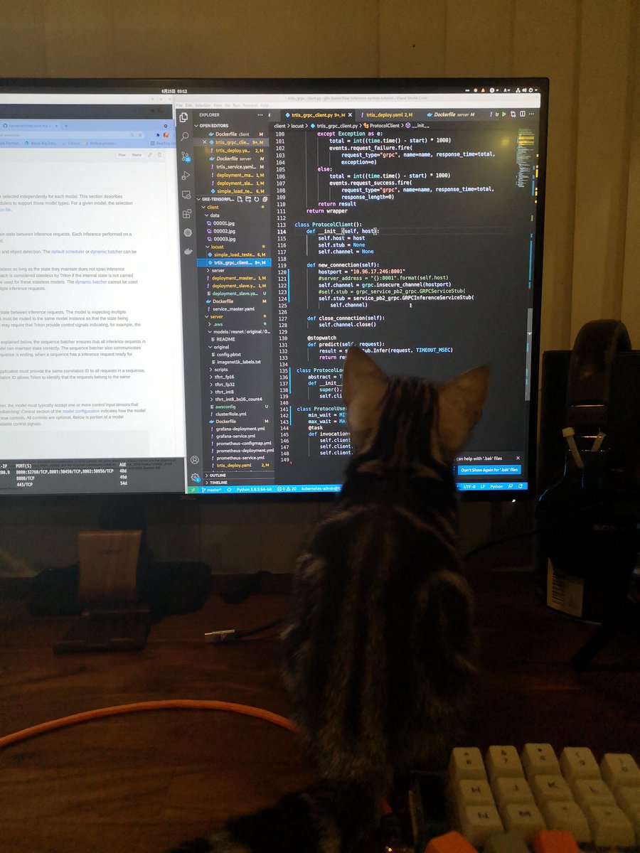 猫の手が借りられる 厳しい目つきでコードレビューをする猫さん ジーッと見つめる所にバグあり Togetter